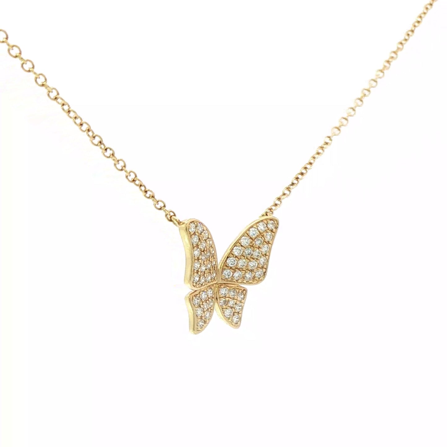 Elegant shiny butterfly