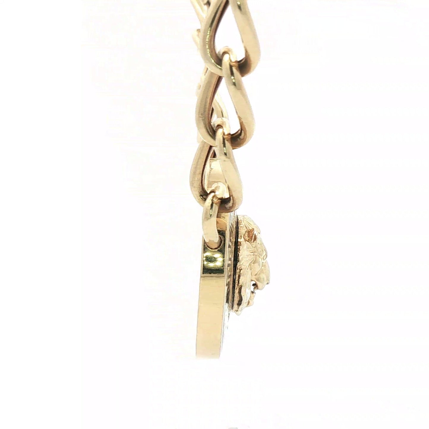 14K Gold Lion Luxurious Chain Necklace