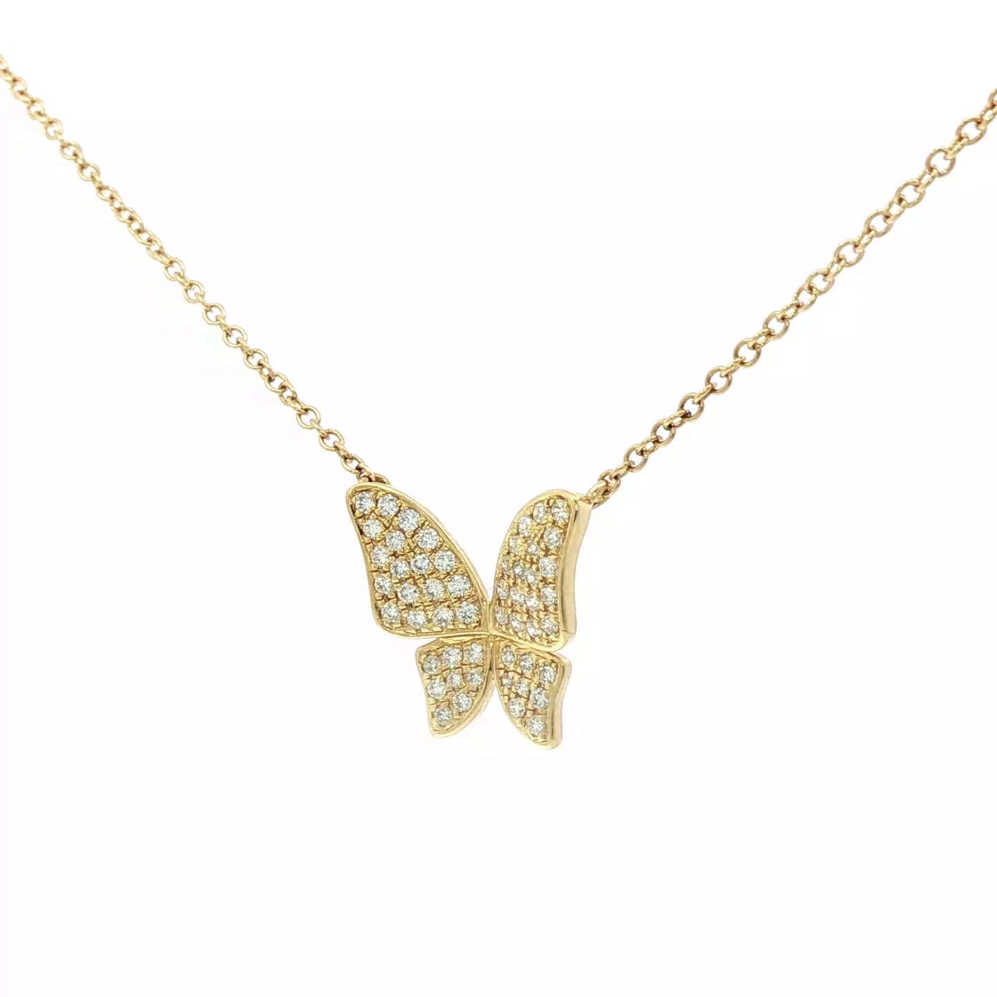 Elegant shiny butterfly