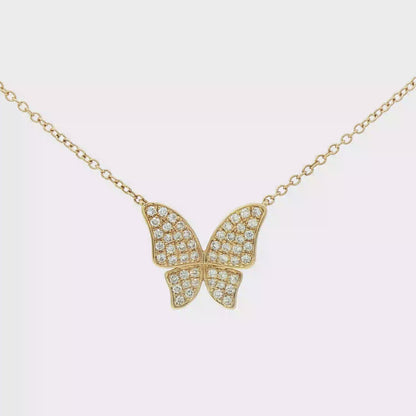 Elegant shiny butterfly